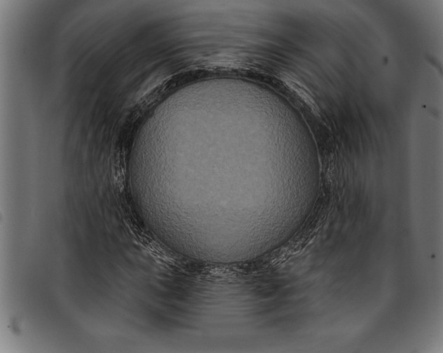 X0000097891015200803281241