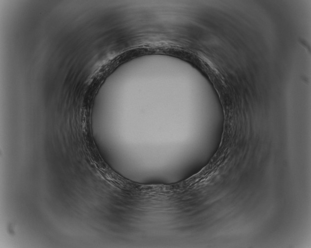 X0000097891016200803281241