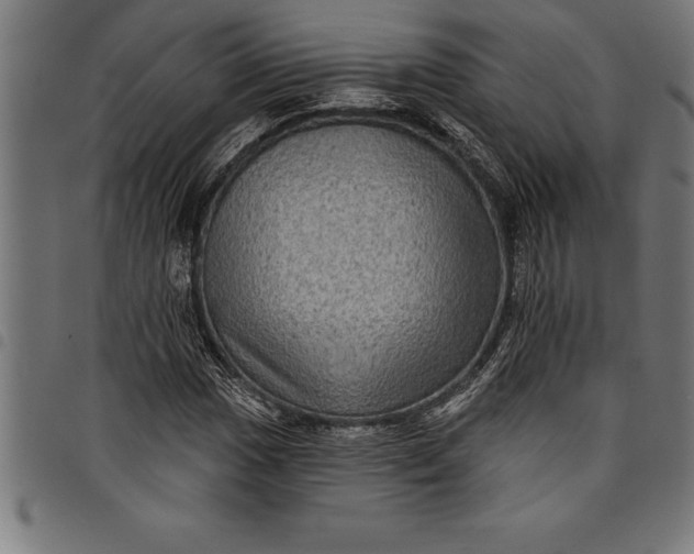 X0000097891017200803281241