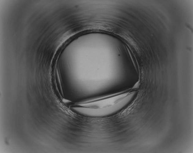 X0000097891020200803281241