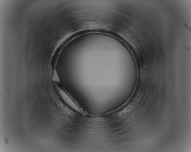 X0000097891021200803281241