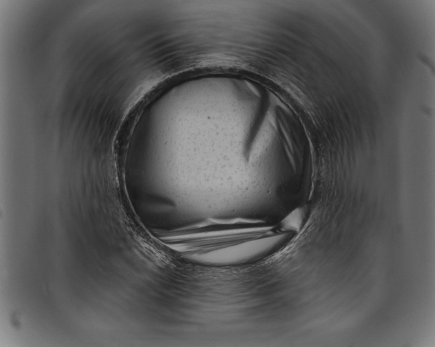 X0000097891022200803281241