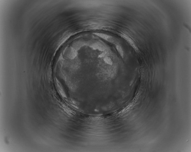 X0000097891023200803281241