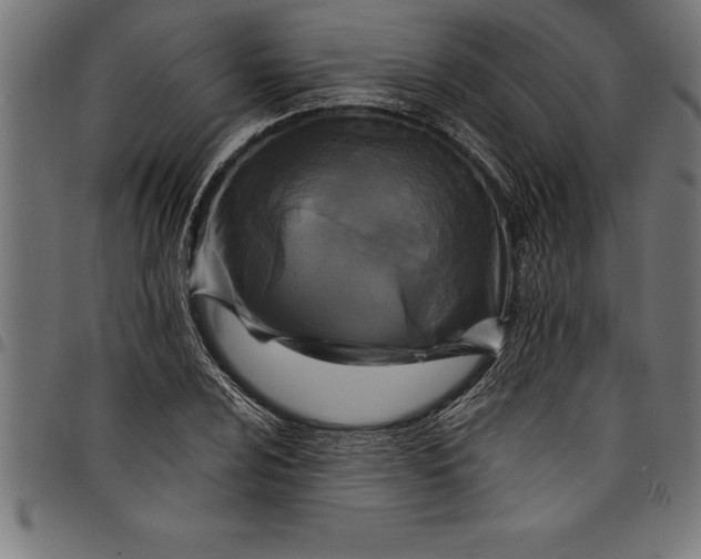 X0000097891024200803281241