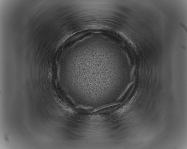 X0000097891025200803281241