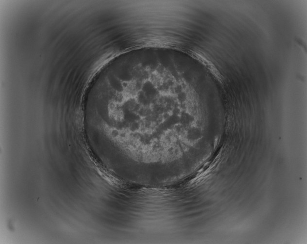 X0000097891027200803281241