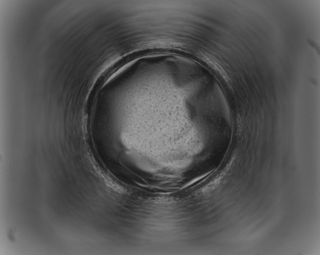 X0000097891029200803281241