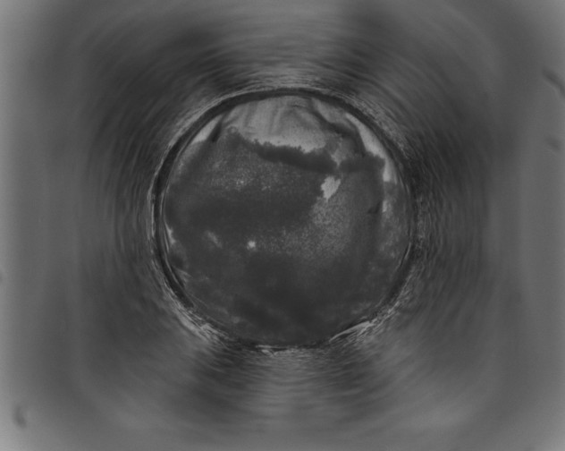 X0000097891031200803281241