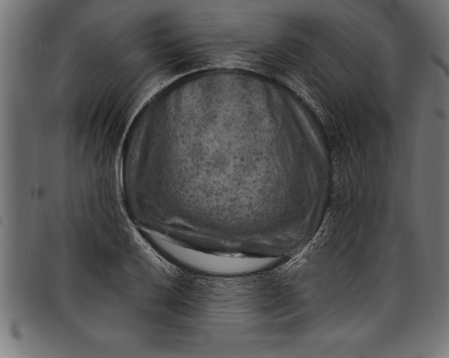 X0000097891032200803281241