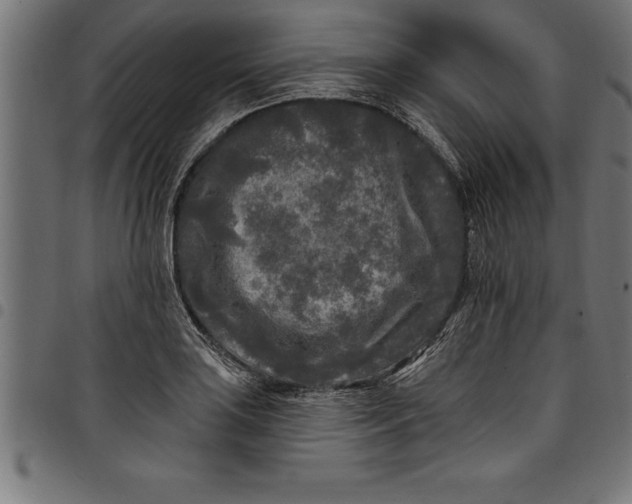 X0000097891035200803281241