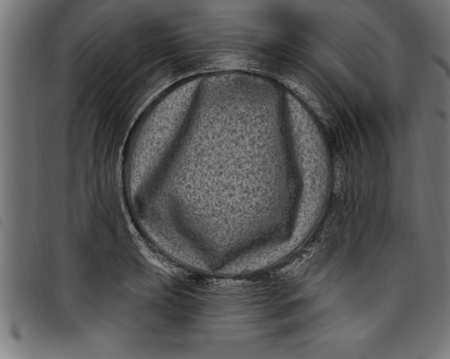 X0000097891039200803281241