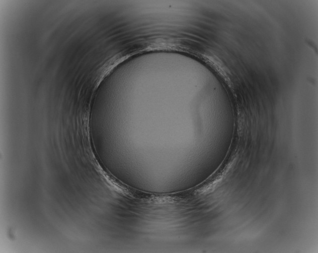 X0000097891041200803281241