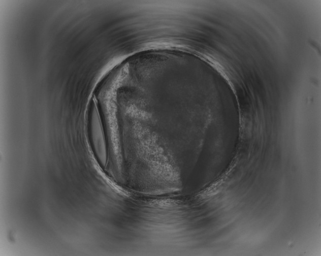 X0000097891045200803281241