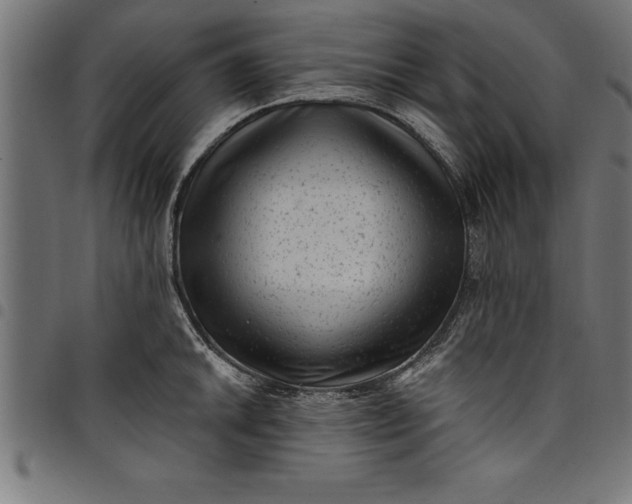 X0000097891046200803281241