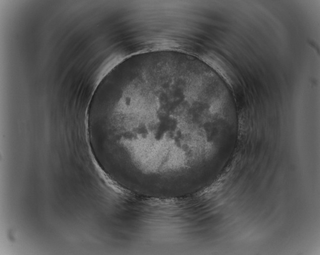 X0000097891047200803281241