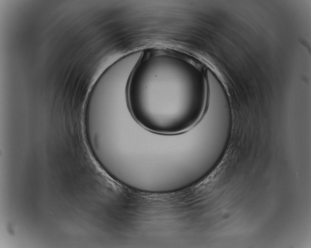 X0000097891048200803281241