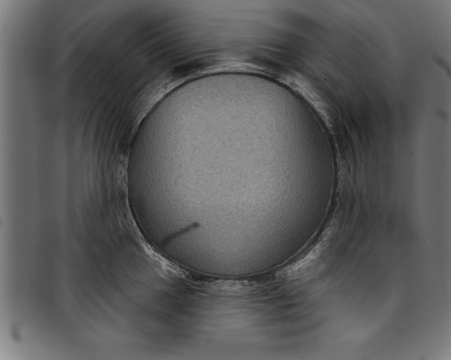 X0000097891049200803281241