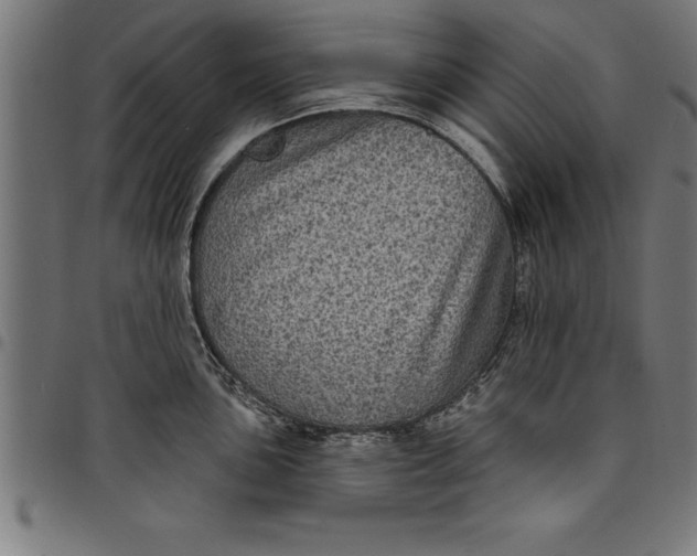 X0000097891051200803281241