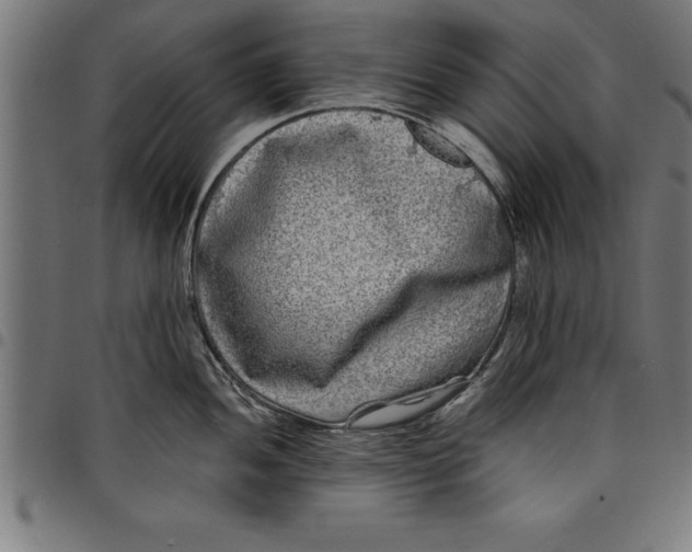 X0000097891052200803281241