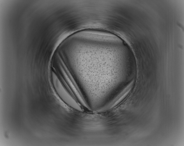 X0000097891056200803281241