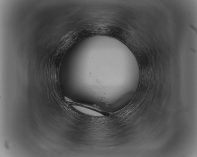 X0000097891058200803281241