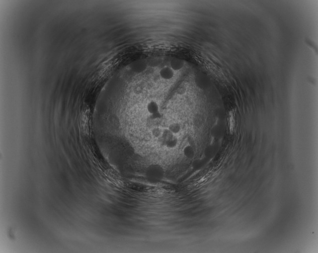 X0000097891059200803281241