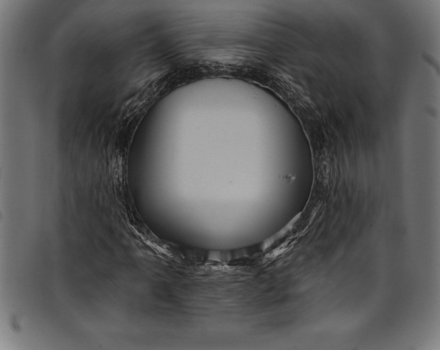 X0000097891061200803281241