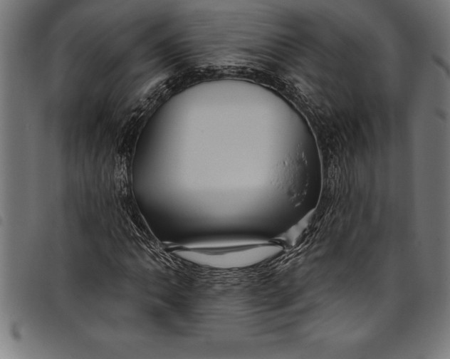 X0000097891062200803281241