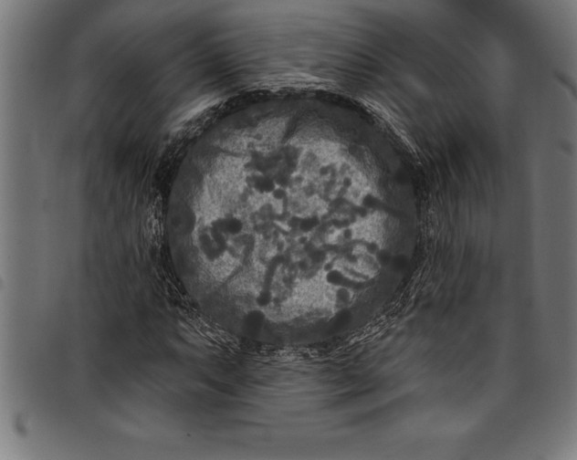 X0000097891063200803281241