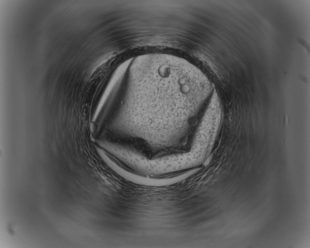 X0000097891064200803281241