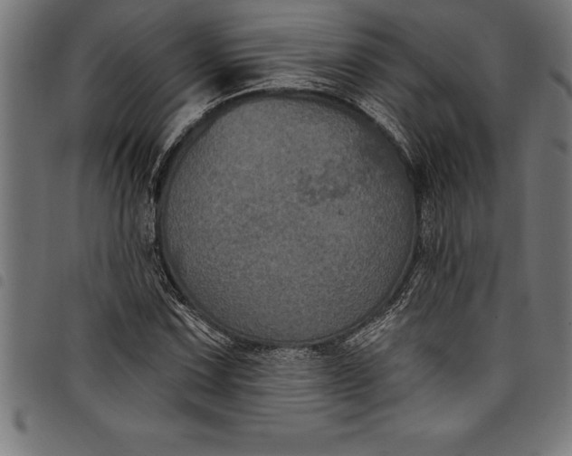 X0000097891067200803281241