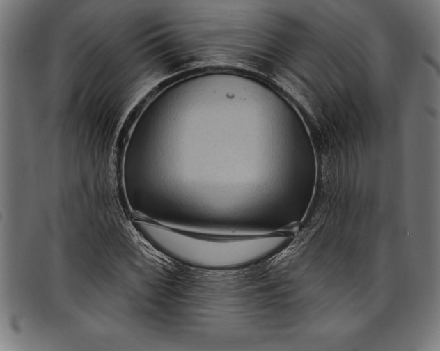 X0000097891068200803281241