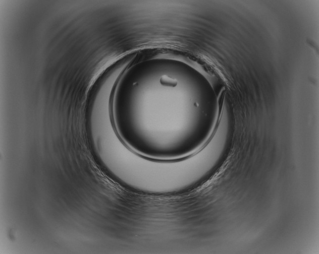 X0000097891069200803281241