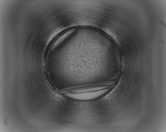 X0000097891070200803281241