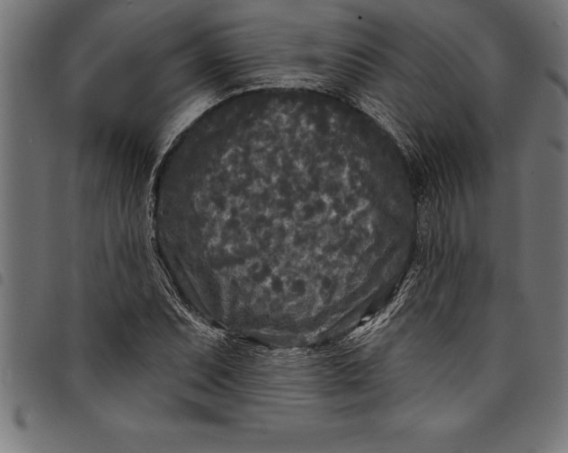 X0000097891071200803281241