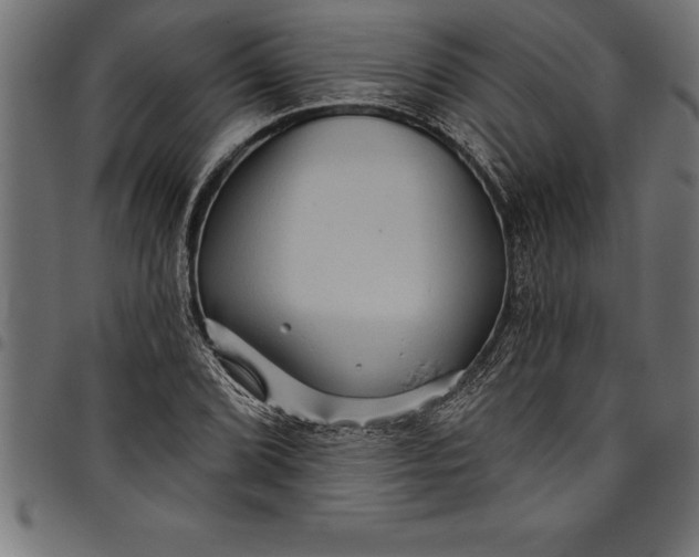 X0000097891072200803281241