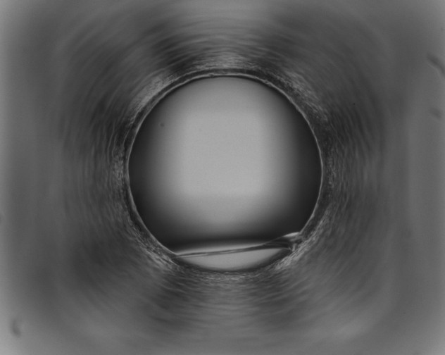 X0000097891073200803281241