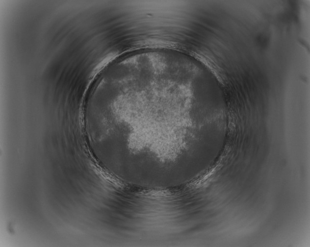 X0000097891074200803281241