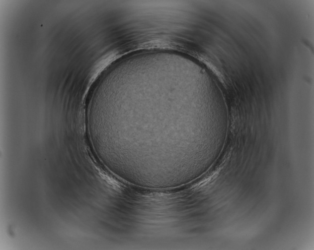 X0000097891075200803281241