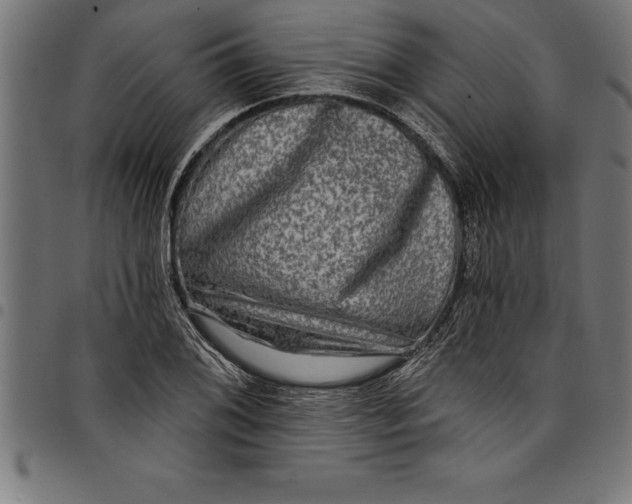 X0000097891076200803281241