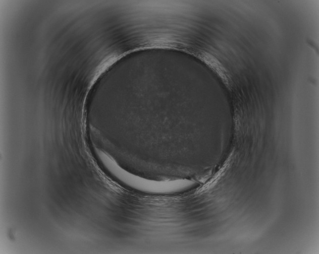 X0000097891077200803281241