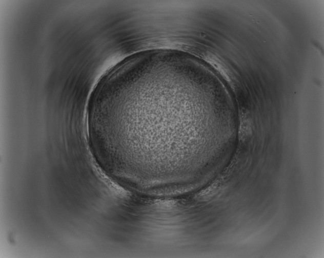 X0000097891080200803281240