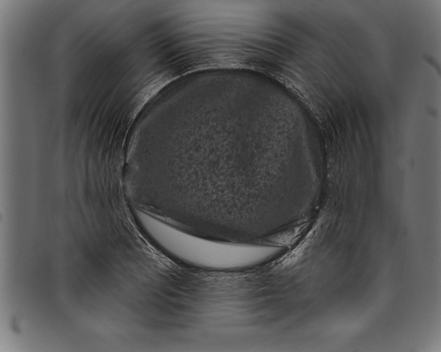 X0000097891081200803281240