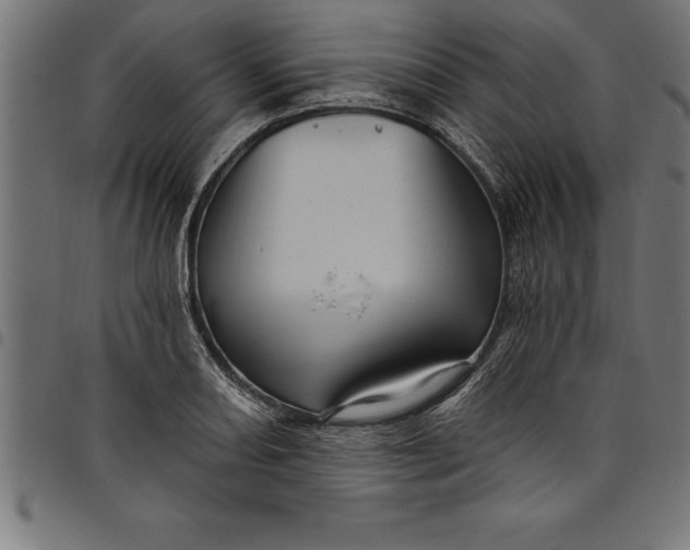 X0000097891082200803281240