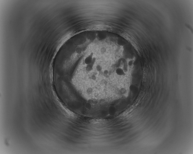 X0000097891083200803281240