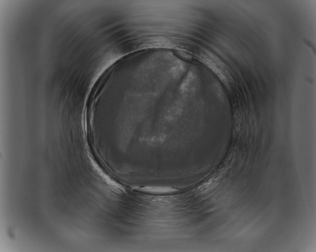 X0000097891084200803281240