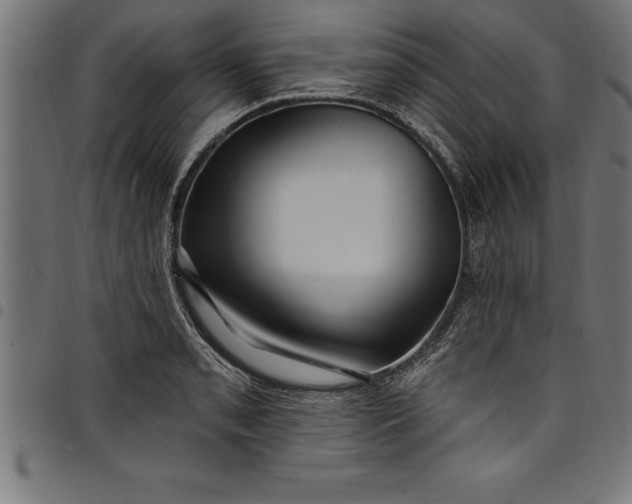 X0000097891085200803281240