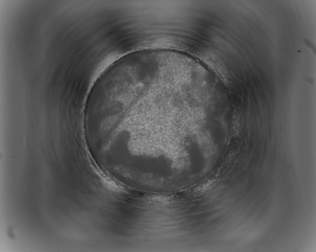 X0000097891086200803281240