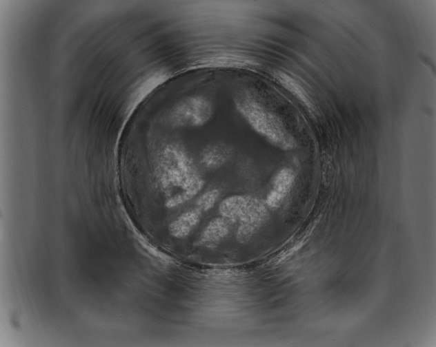 X0000097891087200803281240