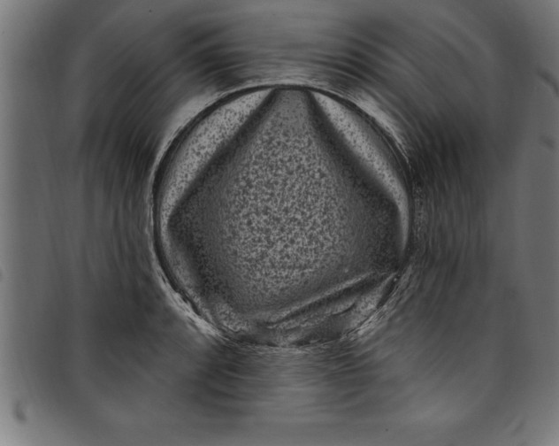 X0000097891088200803281240